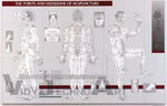 Points and Meridians of Acupuncture Laminated Chart